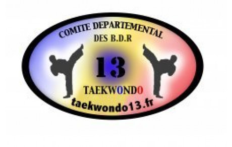 Site du Comité Départemental de TAEKWONDO 13